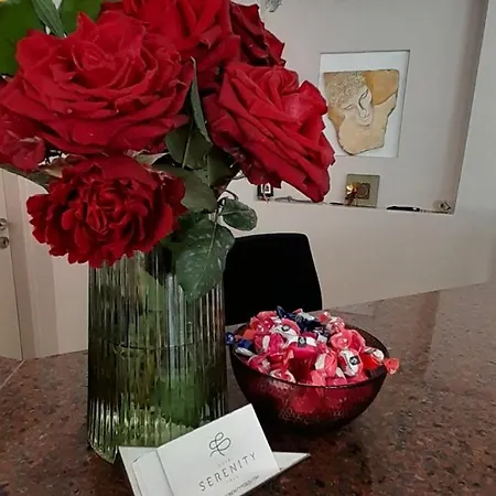 Serenity Hotell Tolón