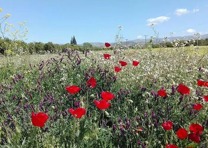 Отель Serenity 3*